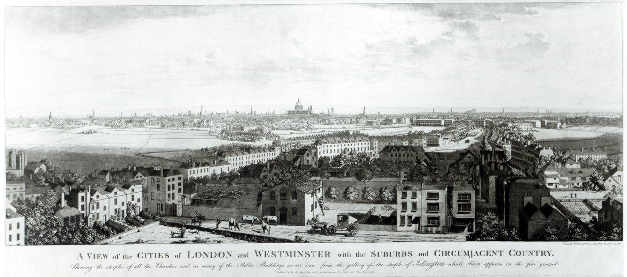 Vista de las Ciudades de Londres y Westminster con Suburbios y País Circundante, 1789 de English School