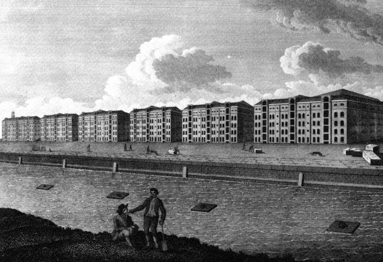 Vista de los almacenes y el muelle de las Indias Occidentales, 1803 de English School