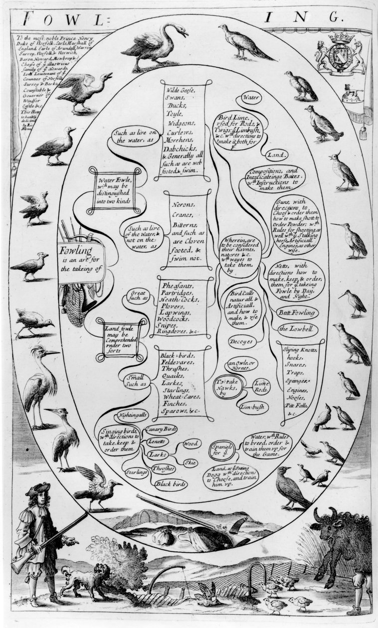 Guía de caza de aves, de 