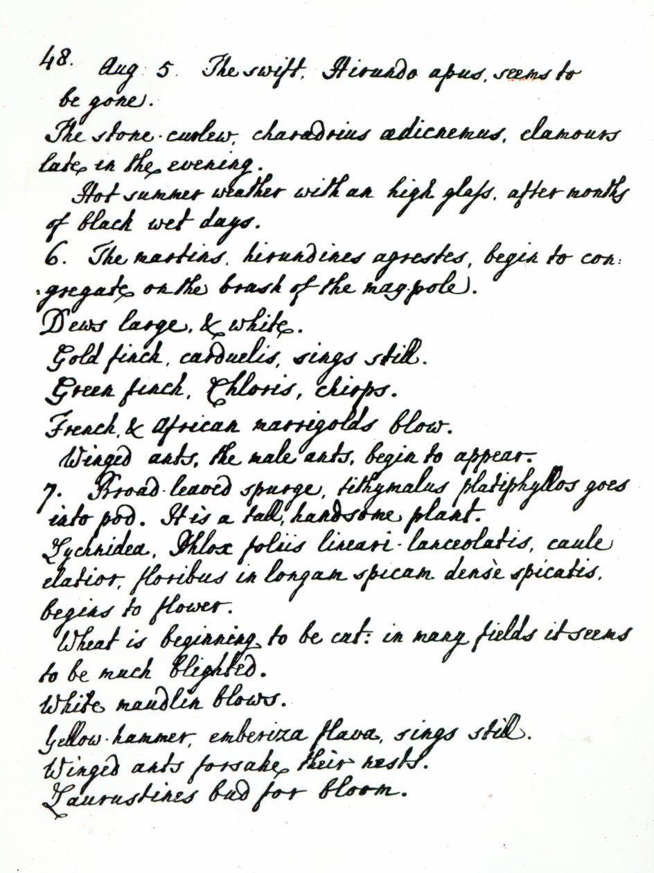 Una página del diario del Reverendo James Woodforde de English School
