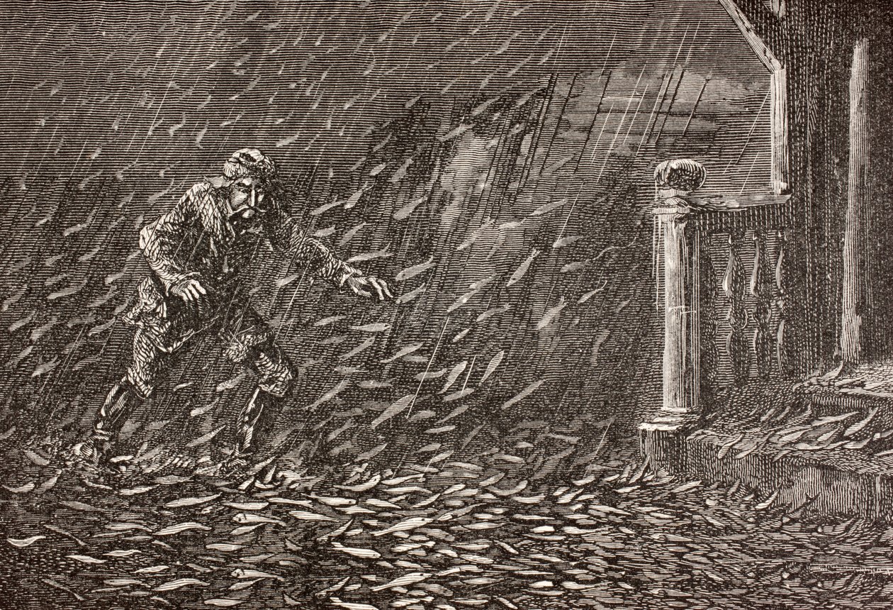 Una lluvia de peces en Transilvania, Rumania de English School