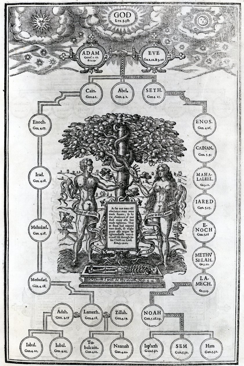 Árbol genealógico de Adán y Eva, 1556 de English School