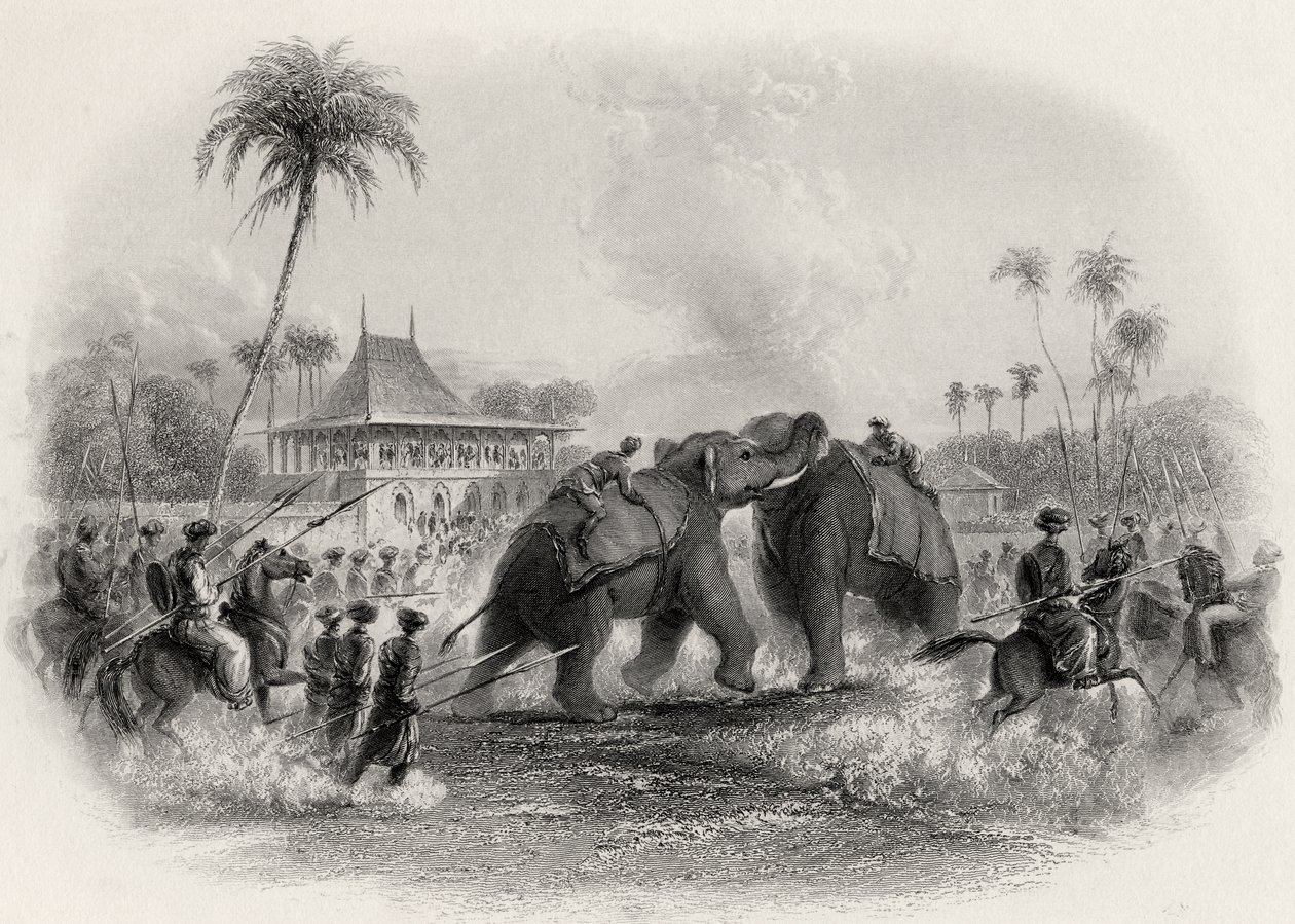 Una pelea de elefantes de English School