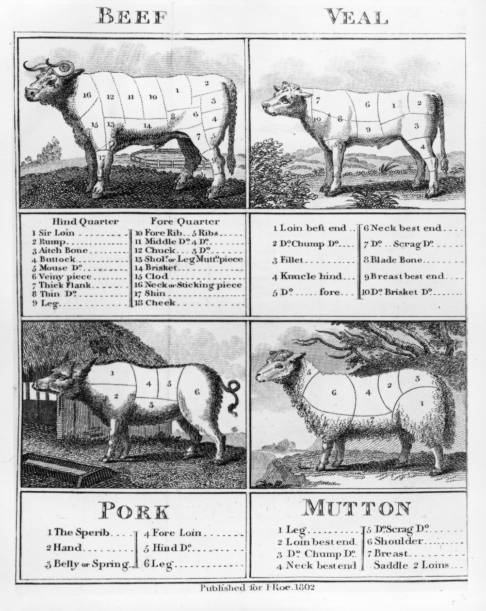 Cortes de carne de res, ternera, cerdo y cordero, 1802 de English School