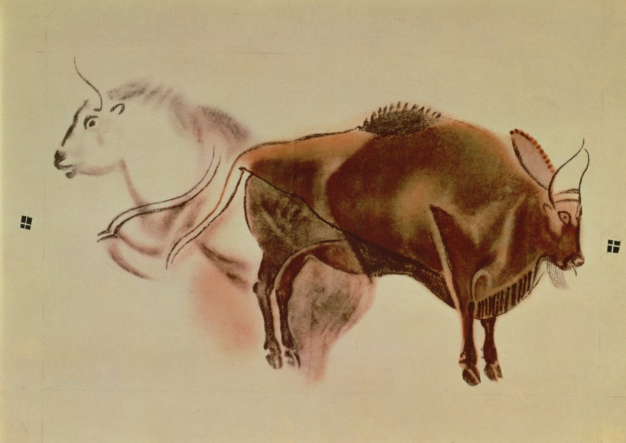 Copia de una pintura rupestre de dos bisontes de c.15000 a.C. (pastel sobre papel) de English School