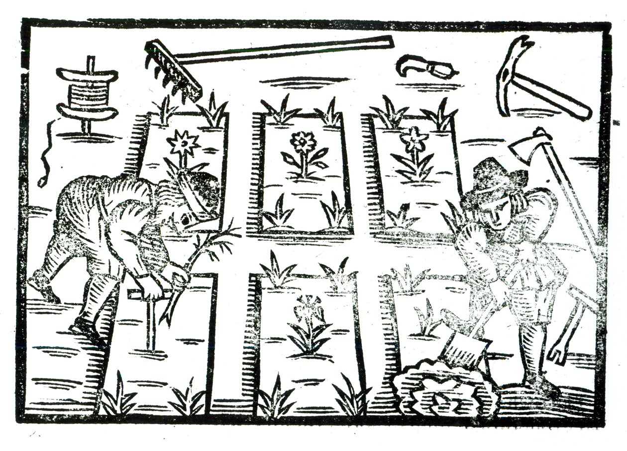 Ilustración de un libro sobre jardinería de English School