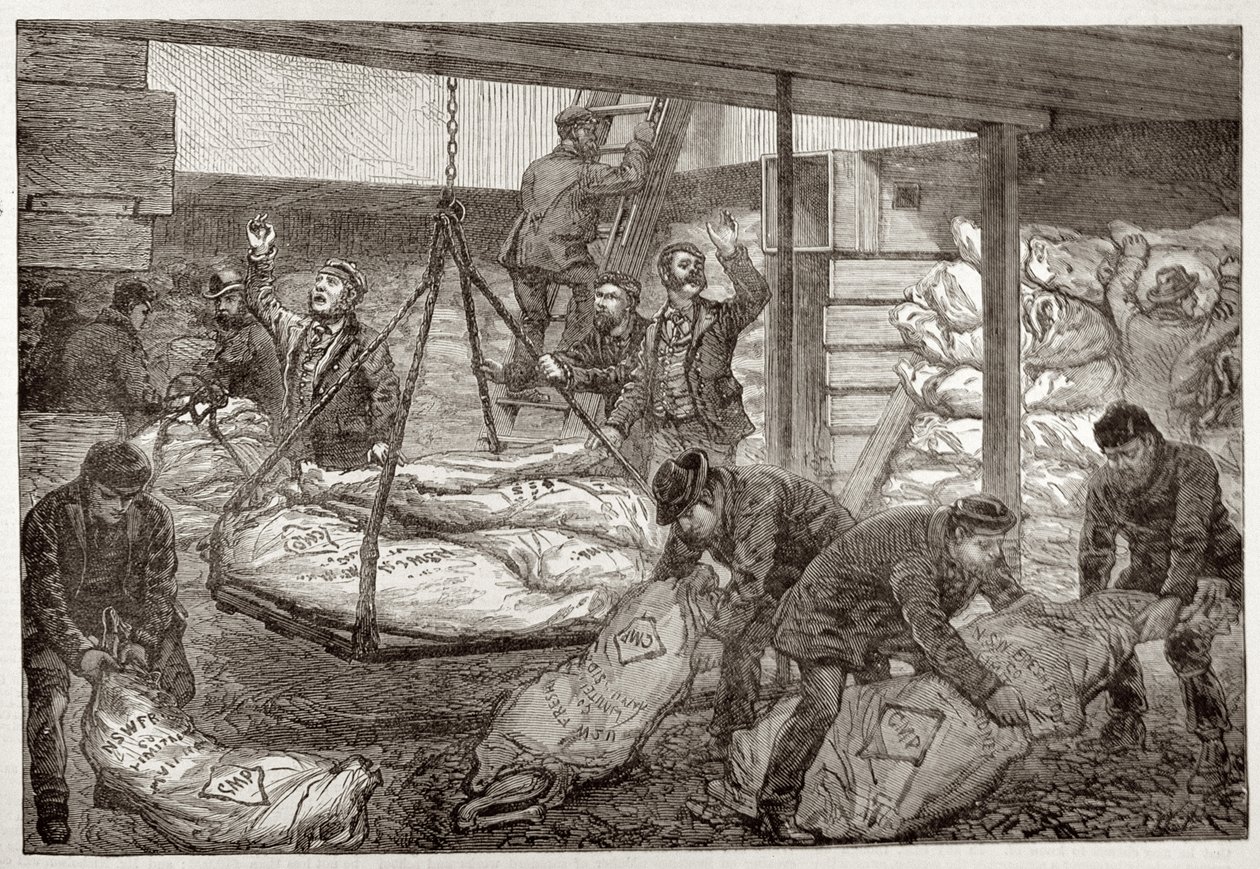 Descargando carne congelada australiana de Sídney en el muelle del suroeste de India, Millwall, de 