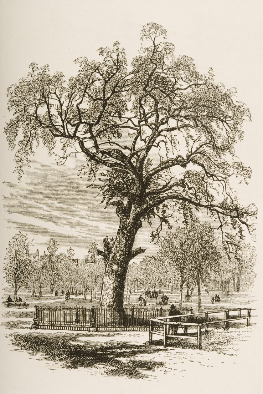 Árbol de la Libertad, Boston Common, c.1870, de 