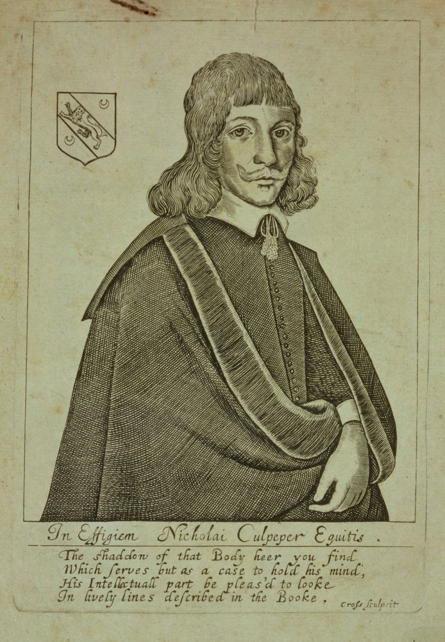 Retrato de Nicholas Culpeper (1616-54) de A Physical Directory, o una Traducción del London Dispensatory, grabado por Thomas Cross, 1649 de English School