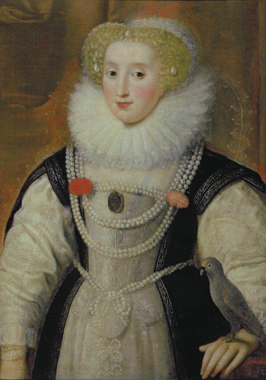 Retrato de una Dama Isabelina con un Loro de English School