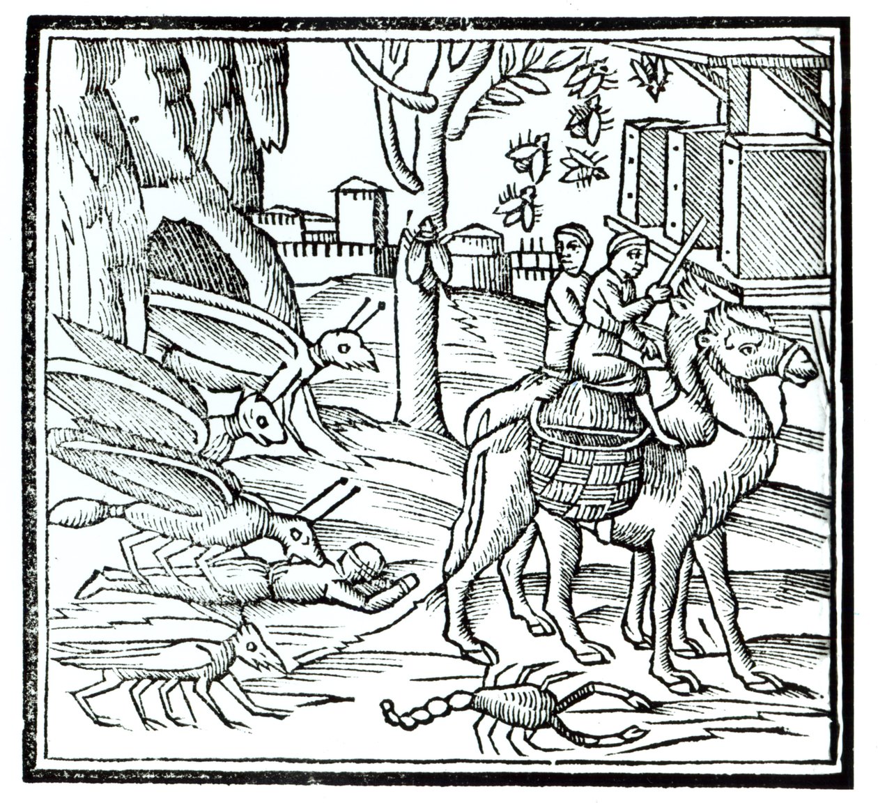 Representación de la Peste, 1572 de English School