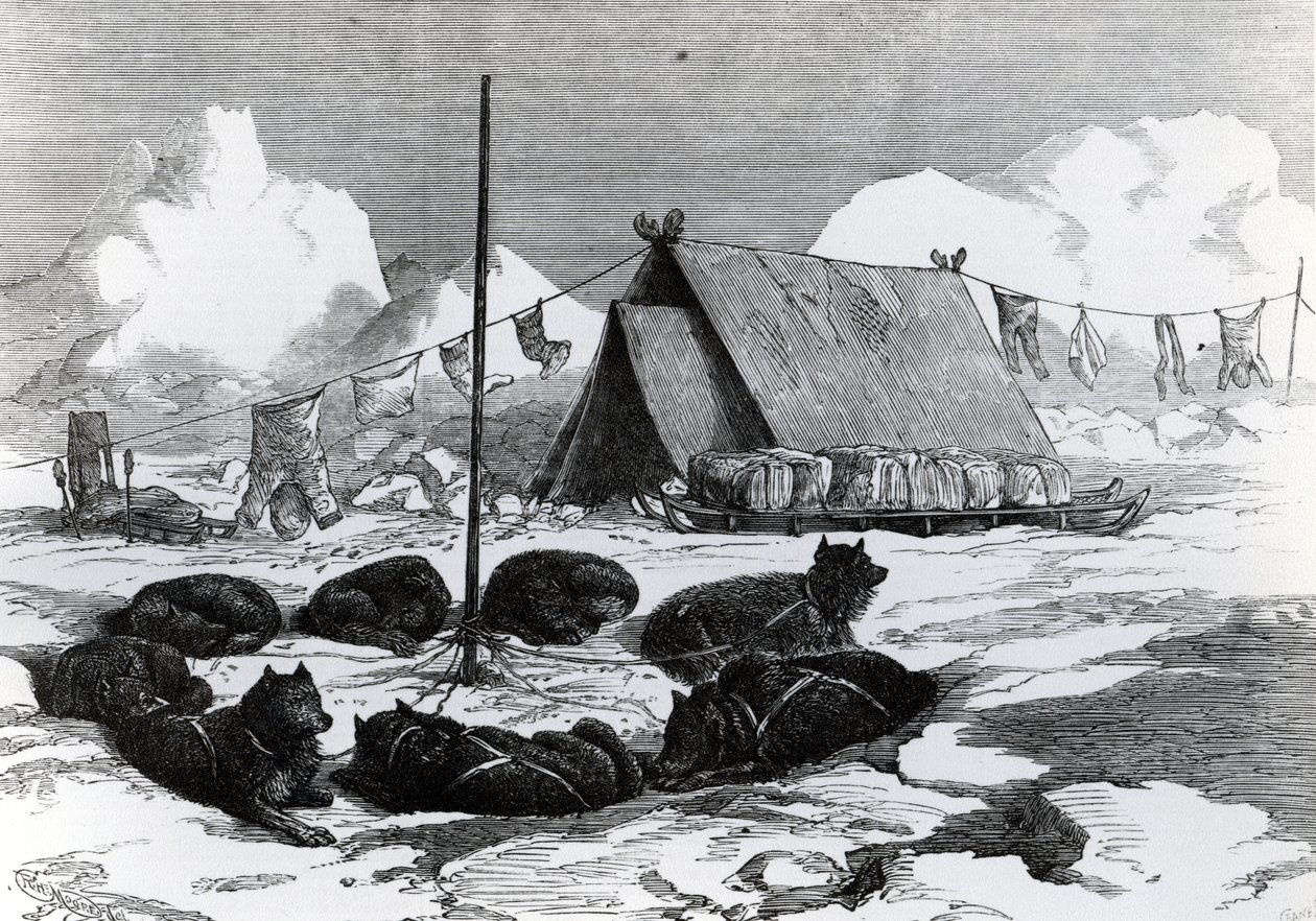 Viaje en trineo: Método de atar perros al acampar, 1876 de English School