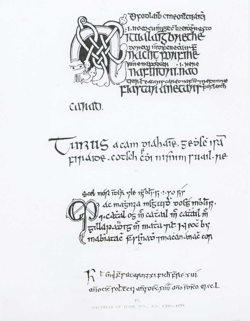 Especímenes de manuscritos irlandeses, c.1300-1588 de English School