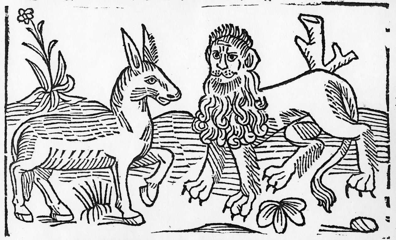 El León y el Asno, ilustración de 