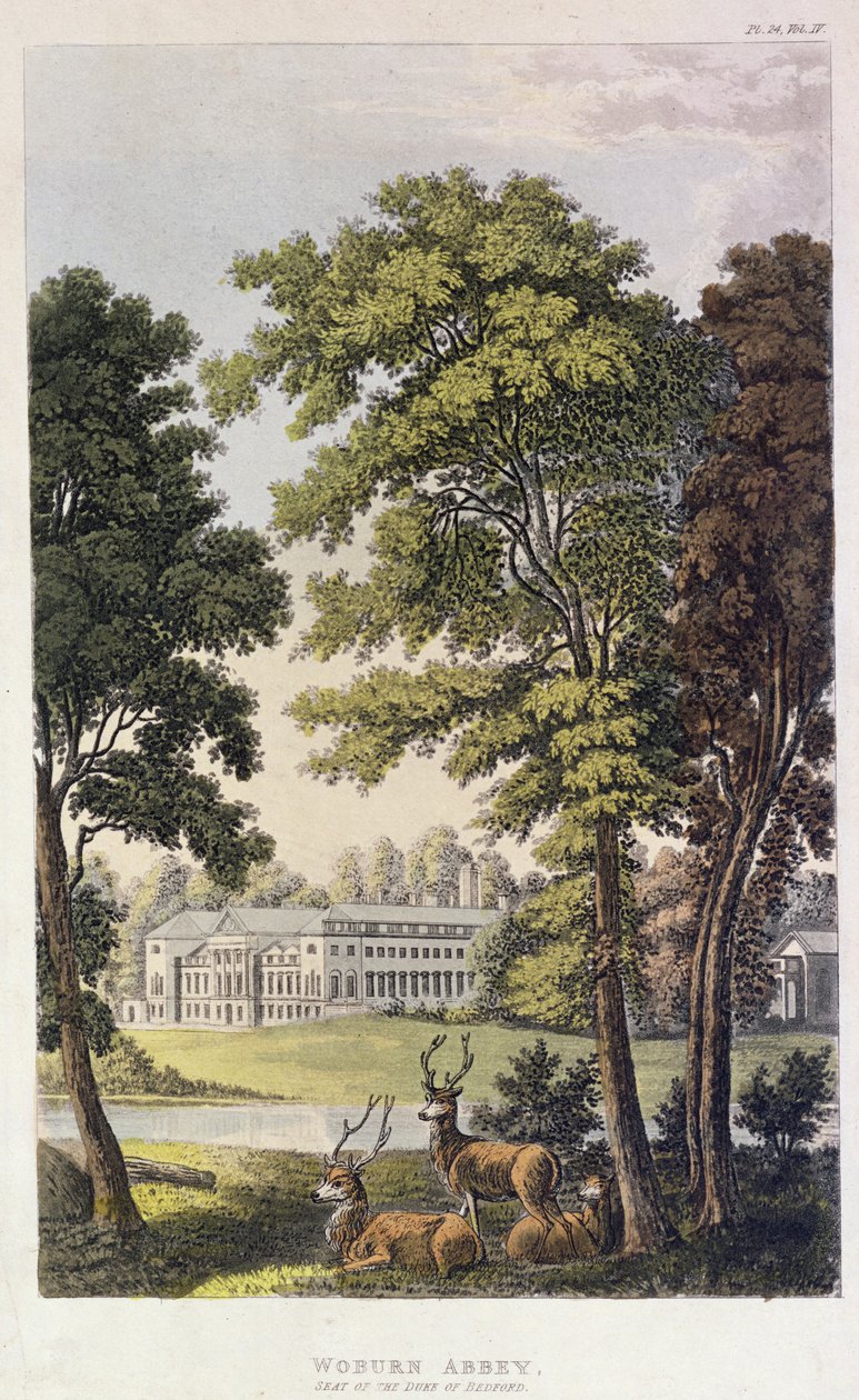Abadía de Woburn, de 