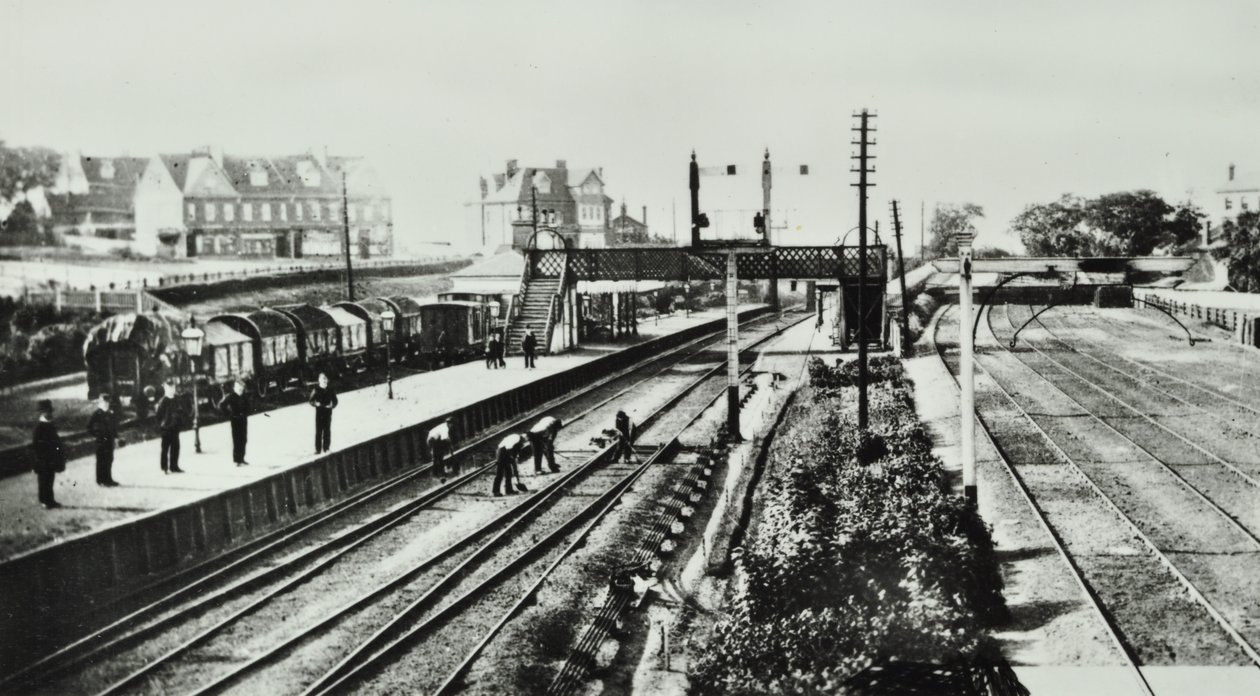 Grove Park Station: exterior y plataformas, 1888 de English Photographer