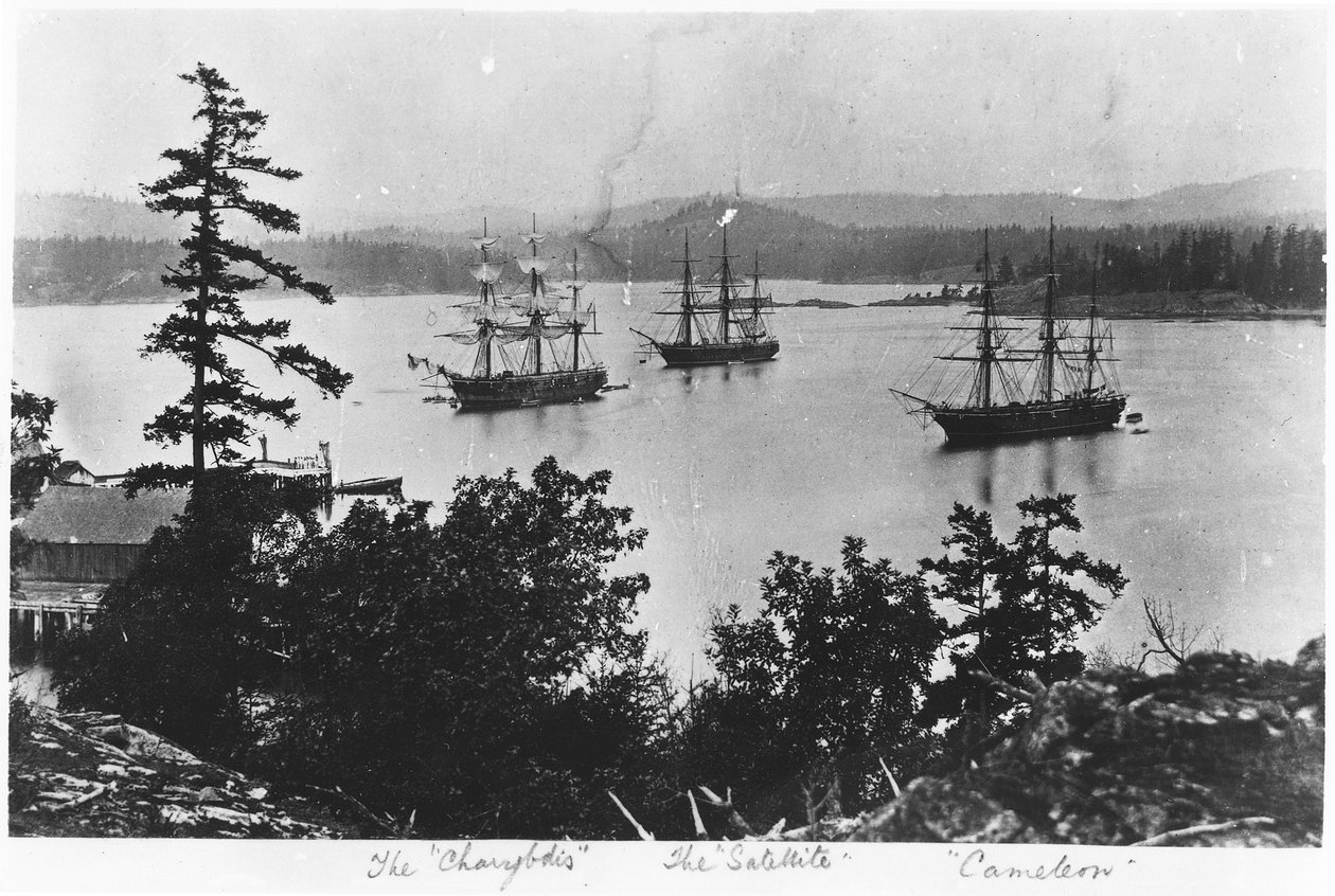 HMS Charybdis, HMS Satellite y HMS Cameleon en el Astillero Naval Real de Esquimalt, Columbia Británica, c.1880s de English Photographer