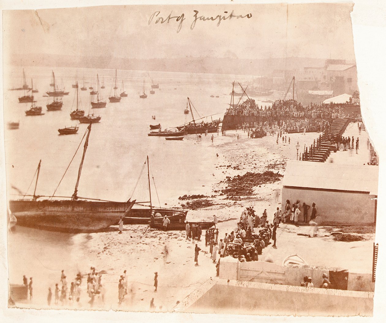 Puerto de Zanzíbar, de un álbum perteneciente a Henry Morton Stanley de English Photographer