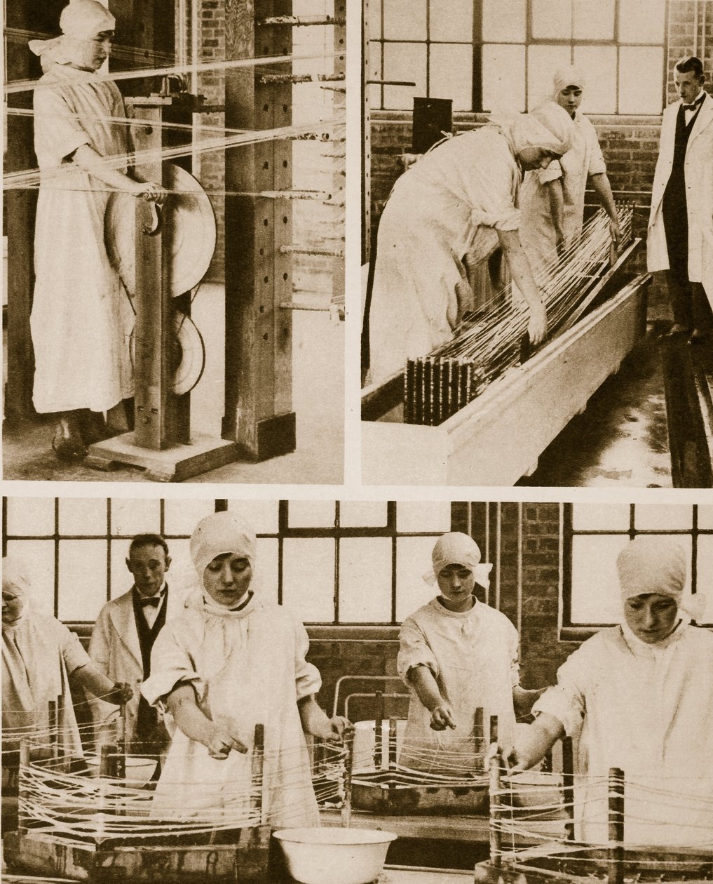 Preparando tripa de gato en la propia fábrica del Hospital de Londres de English Photographer