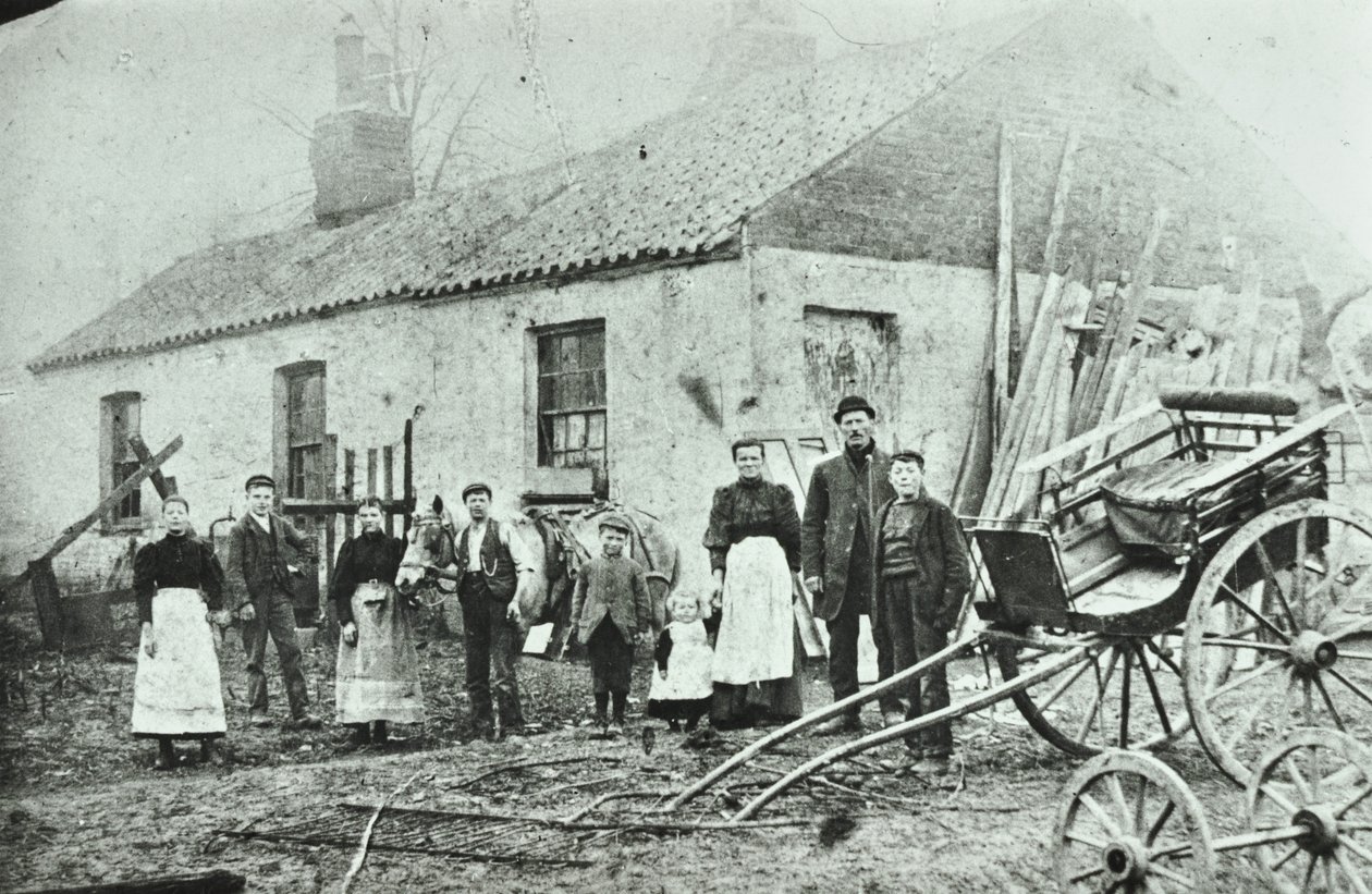 Saint Gothard Road: casas de campo, 1880 de English Photographer