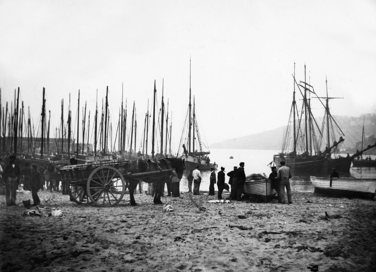 Puerto de St Ives mirando hacia Carbis Bay, c.1880-99 de English Photographer