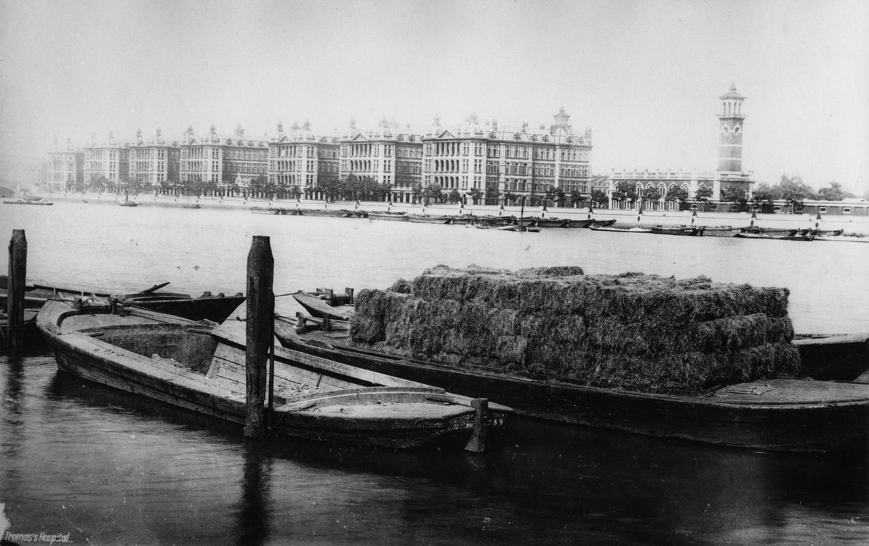 Hospital St Thomas, Albert Embankment, finales del siglo XIX de English Photographer