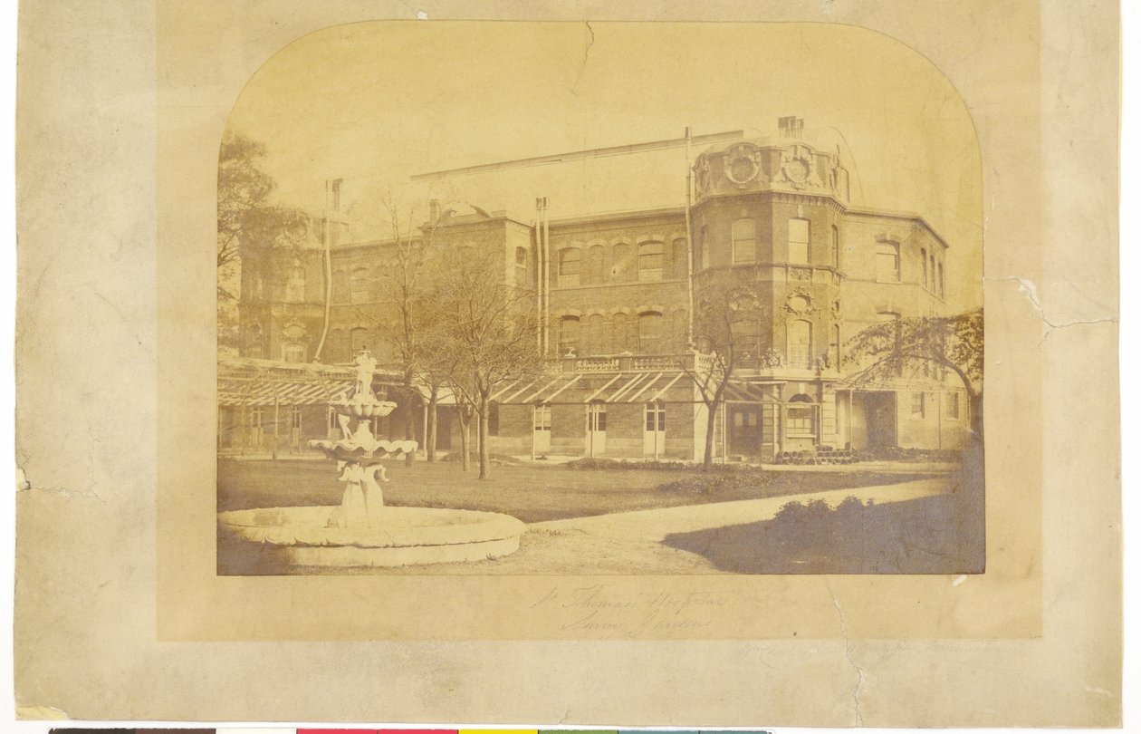 Hospital de St. Thomas, Surrey Gardens de English Photographer