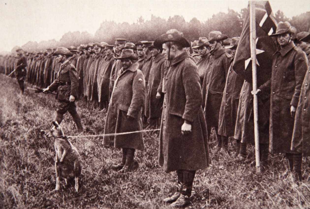 La revisión de Anzac en Salisbury Plain: una mascota australiana, ilustración de The Illustrated War News, 27 de septiembre de 1916 de English Photographer