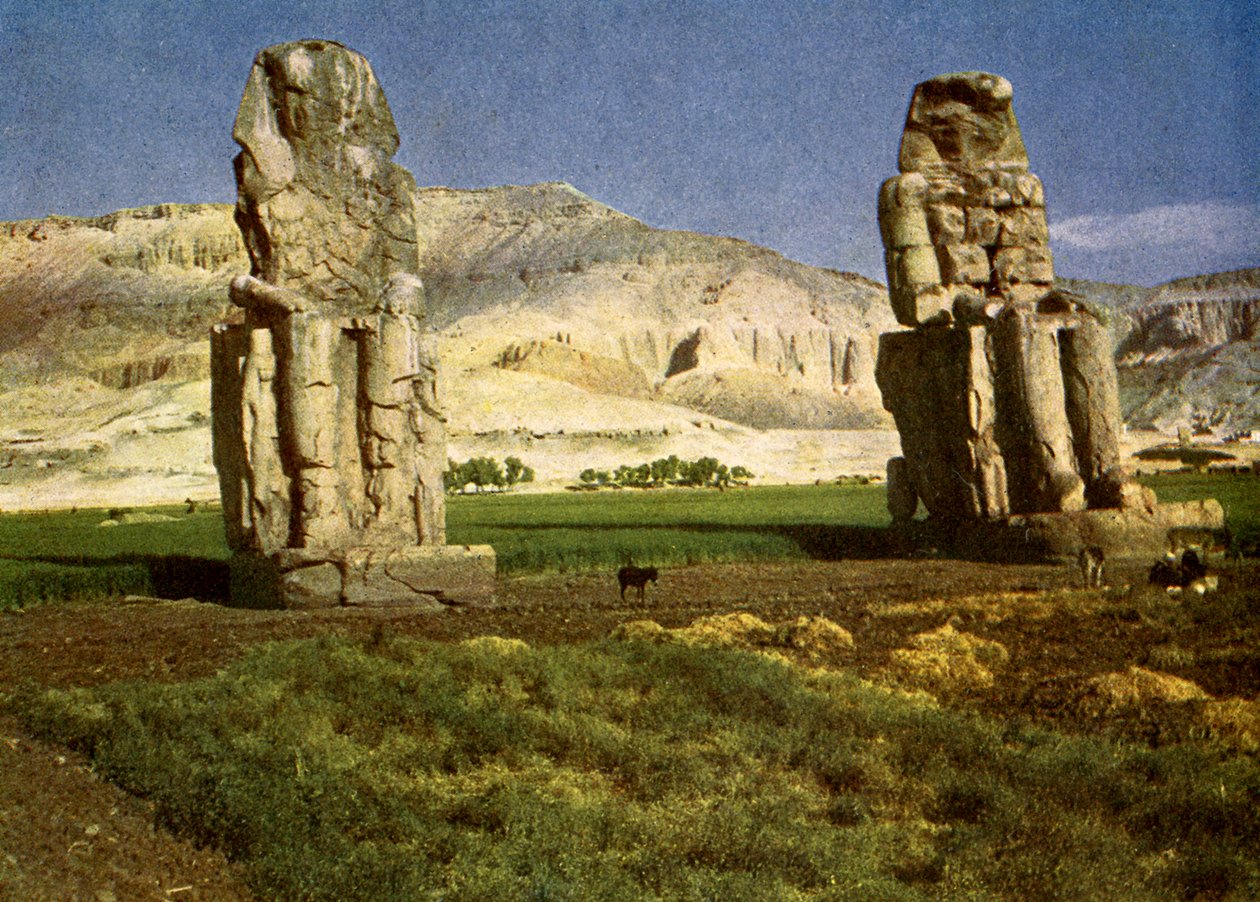 Los Colosos de Memnón, cerca de Tebas, Egipto de English Photographer