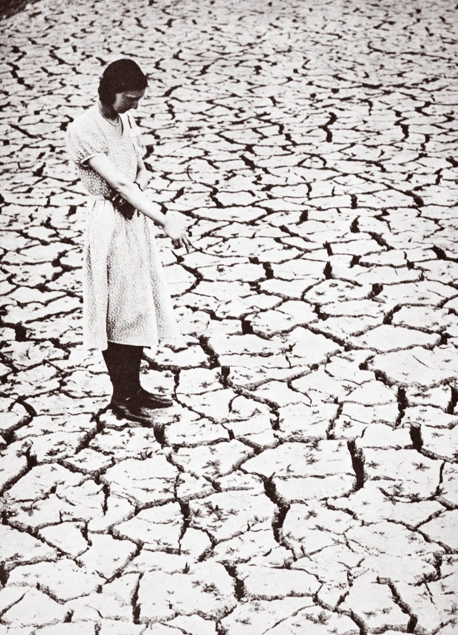Tring Reservoir, Hertfordshire, 1934 de English Photographer