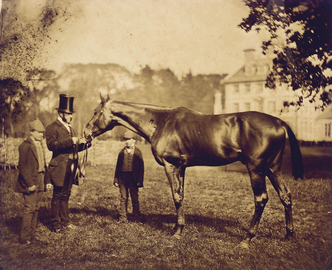 Wild Dayrell, ganador del Derby en 1856 de English Photographer