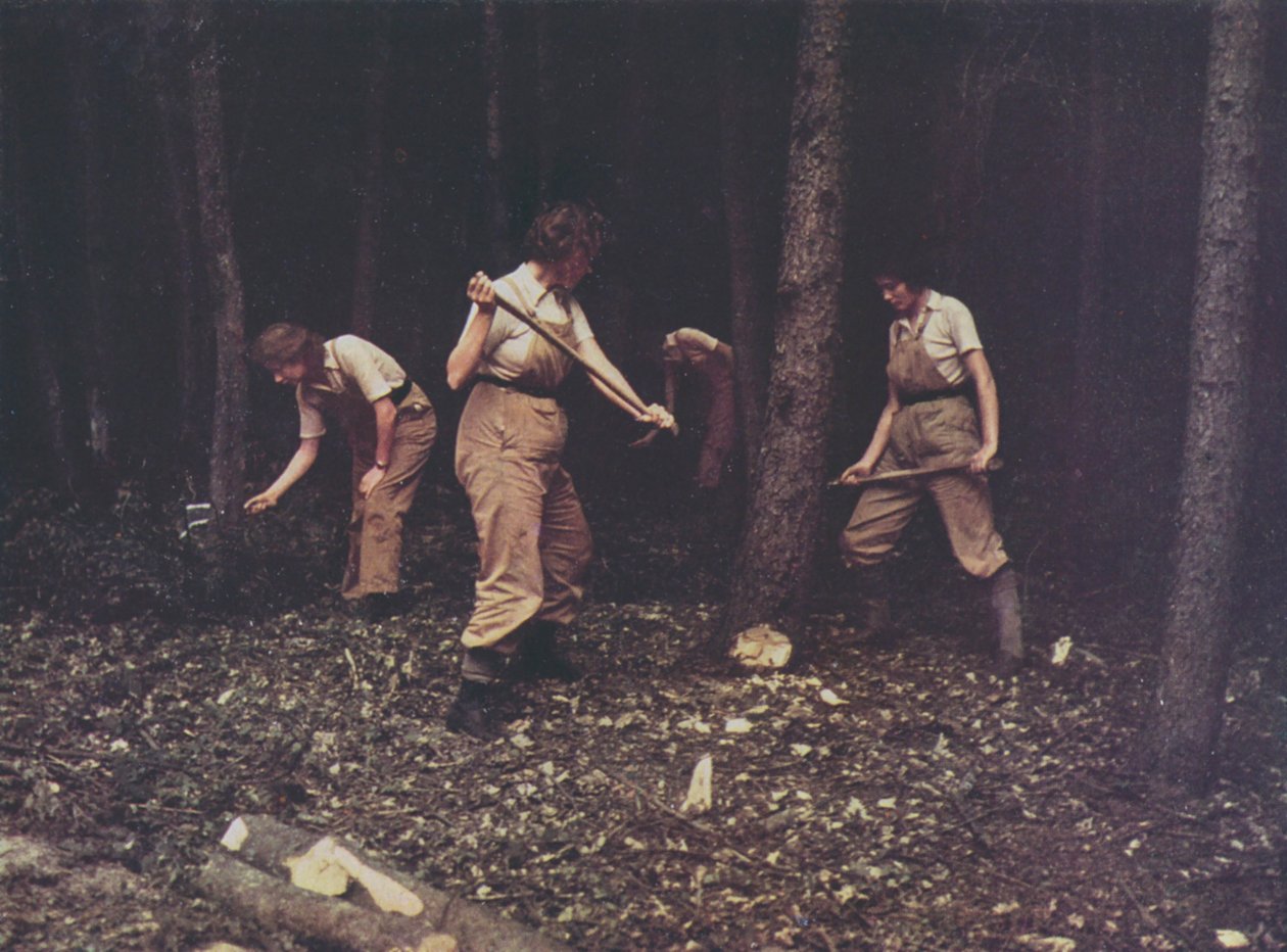 Trabajadoras del British Timber Corps talando árboles, Segunda Guerra Mundial (foto en color) de English Photographer