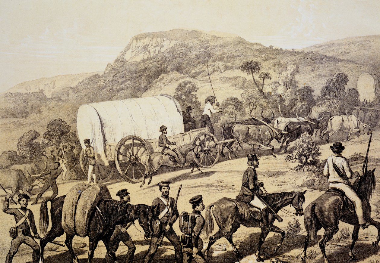 Un convoy de carros, de Escenas en Kafirland y Incidentes en la Guerra Kafir de 1851-53 de English School