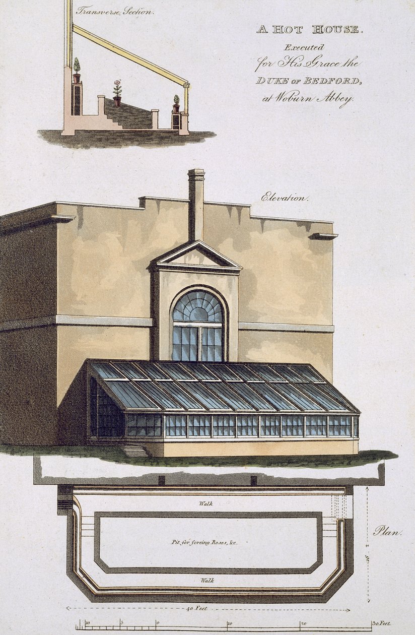 Un Invernadero ejecutado para su Gracia el Duque de Bedford en Woburn Abbey, 1806 de English School