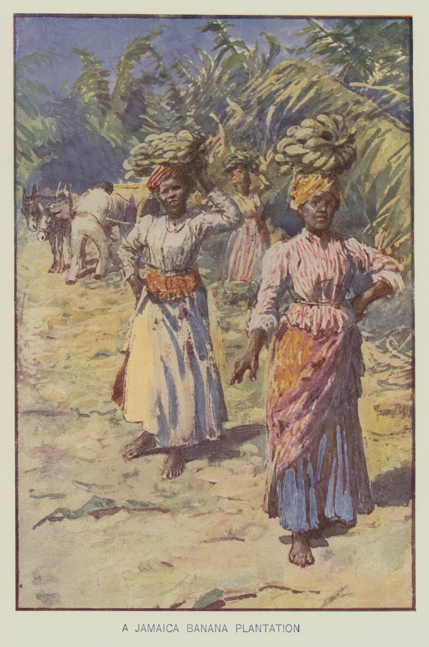 Una plantación de plátanos en Jamaica (litografía en color) de English School