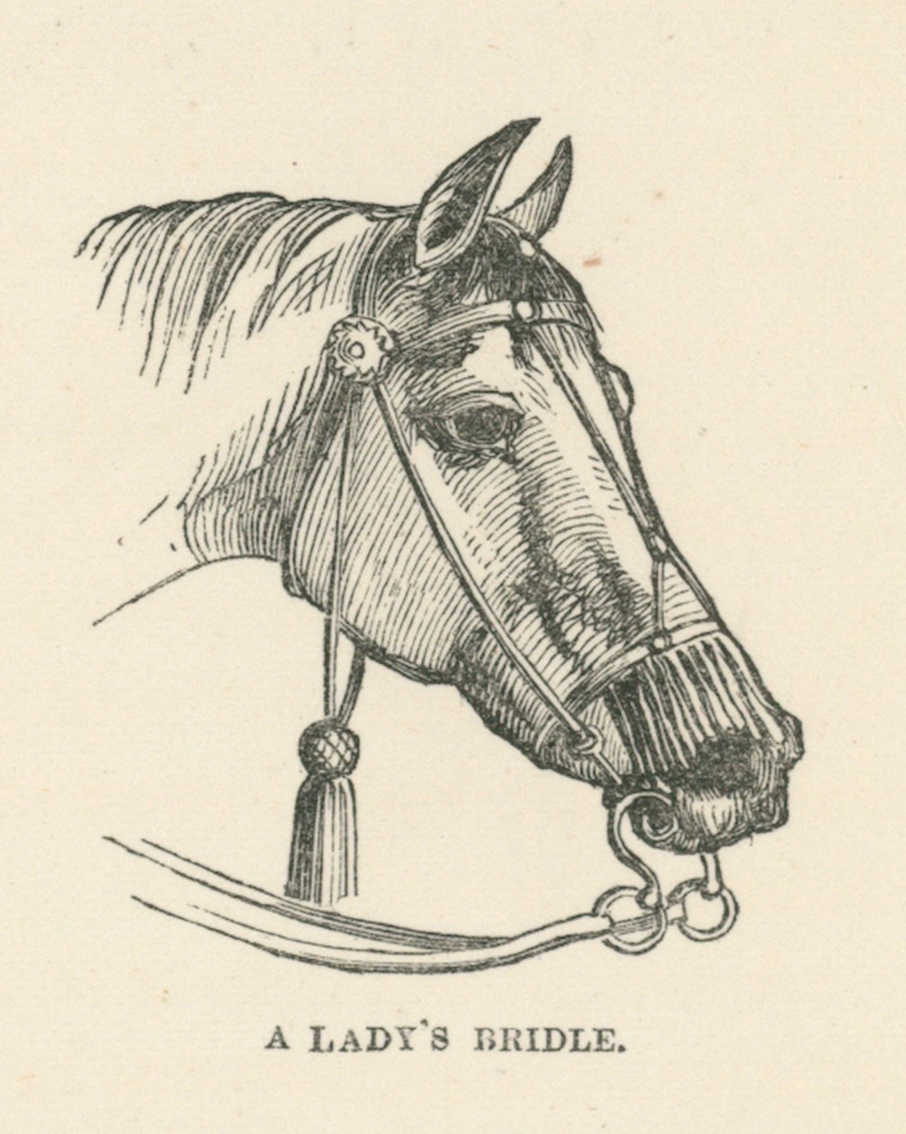La brida de una dama (grabado) de English School