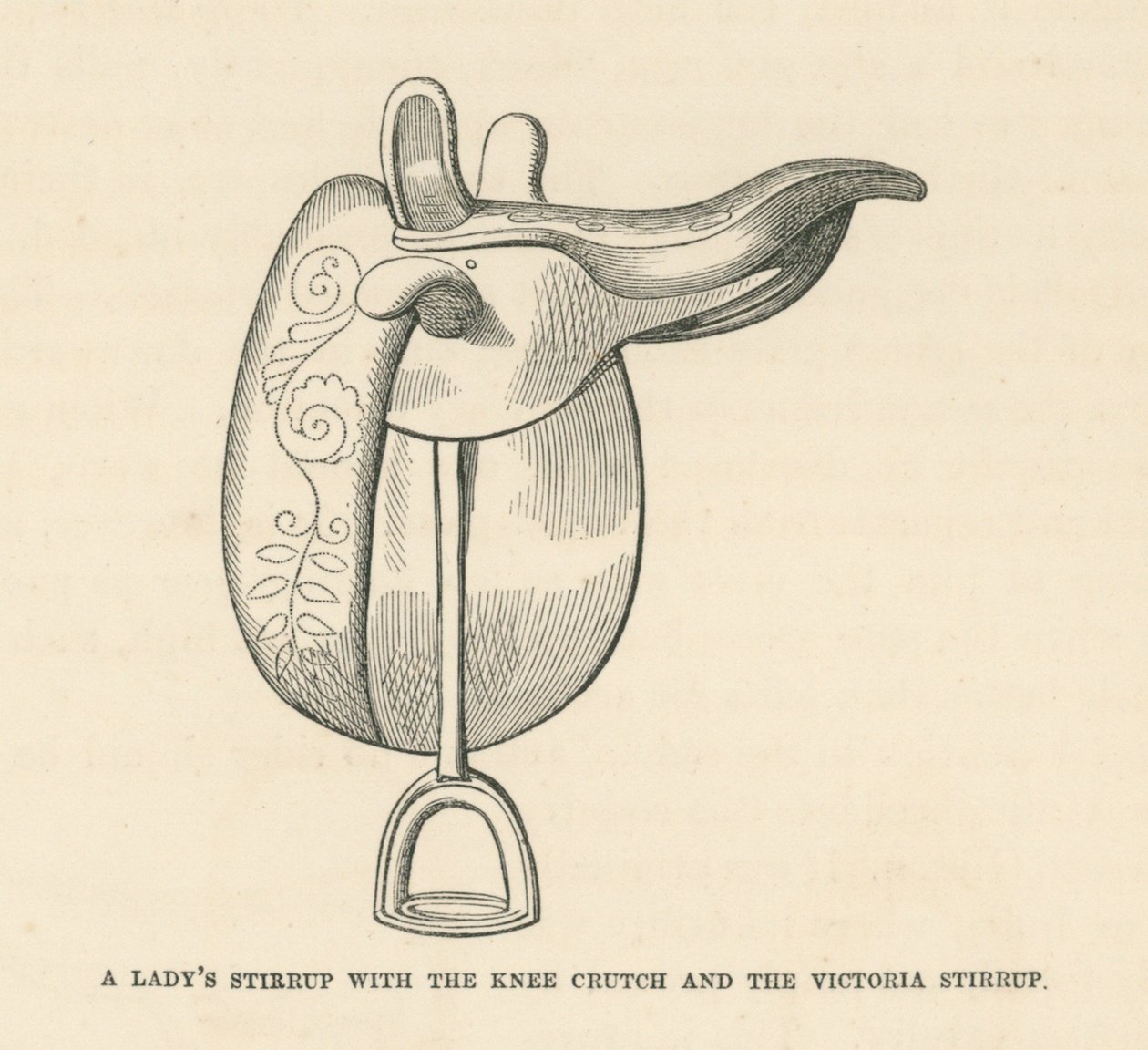 Estribo de señora con la muleta de rodilla y el estribo Victoria (grabado) de English School