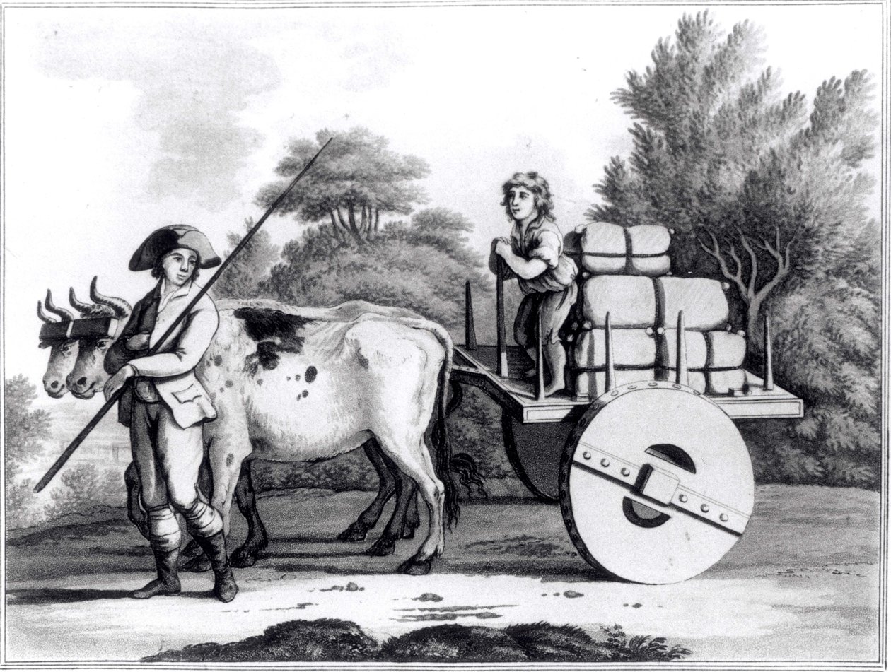 Una granja portuguesa, de Una Vista General del Estado de Portugal por James Murphy, publicado en 1797 de English School