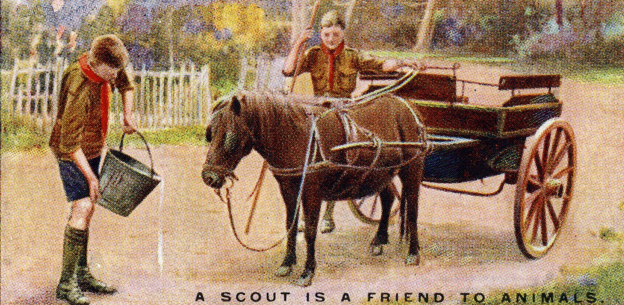 Un Scout es Amigo de los Animales, 1929 de English School