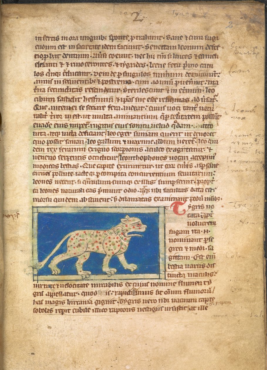 Un tigre, de Sloane 3544, f.2 (vitela) de English School