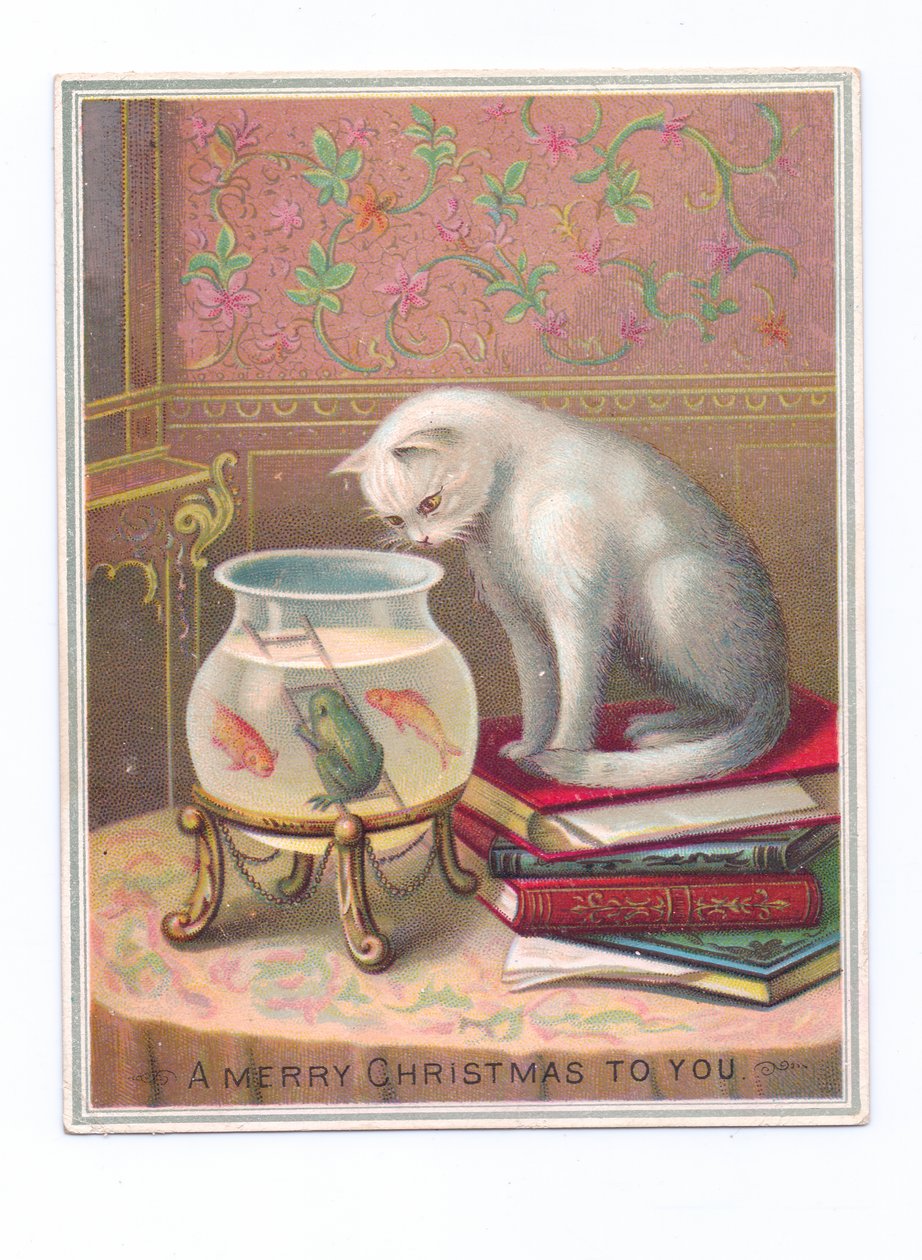 Tarjeta navideña victoriana de un gato sentado sobre una pila de libros y mirando dentro de una pecera, c.1880 (litografía en color) de English School