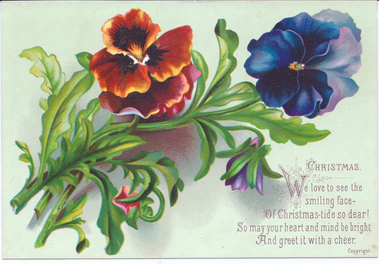Tarjeta navideña victoriana de un ramo de pensamientos, c.1880 de English School