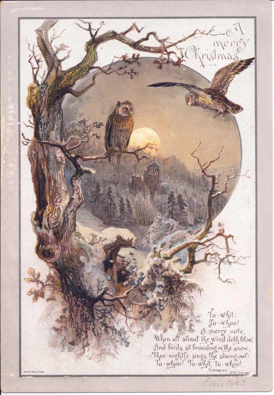Tarjeta navideña victoriana de un búho posado en una rama en una noche de luna, c.1880 de English School