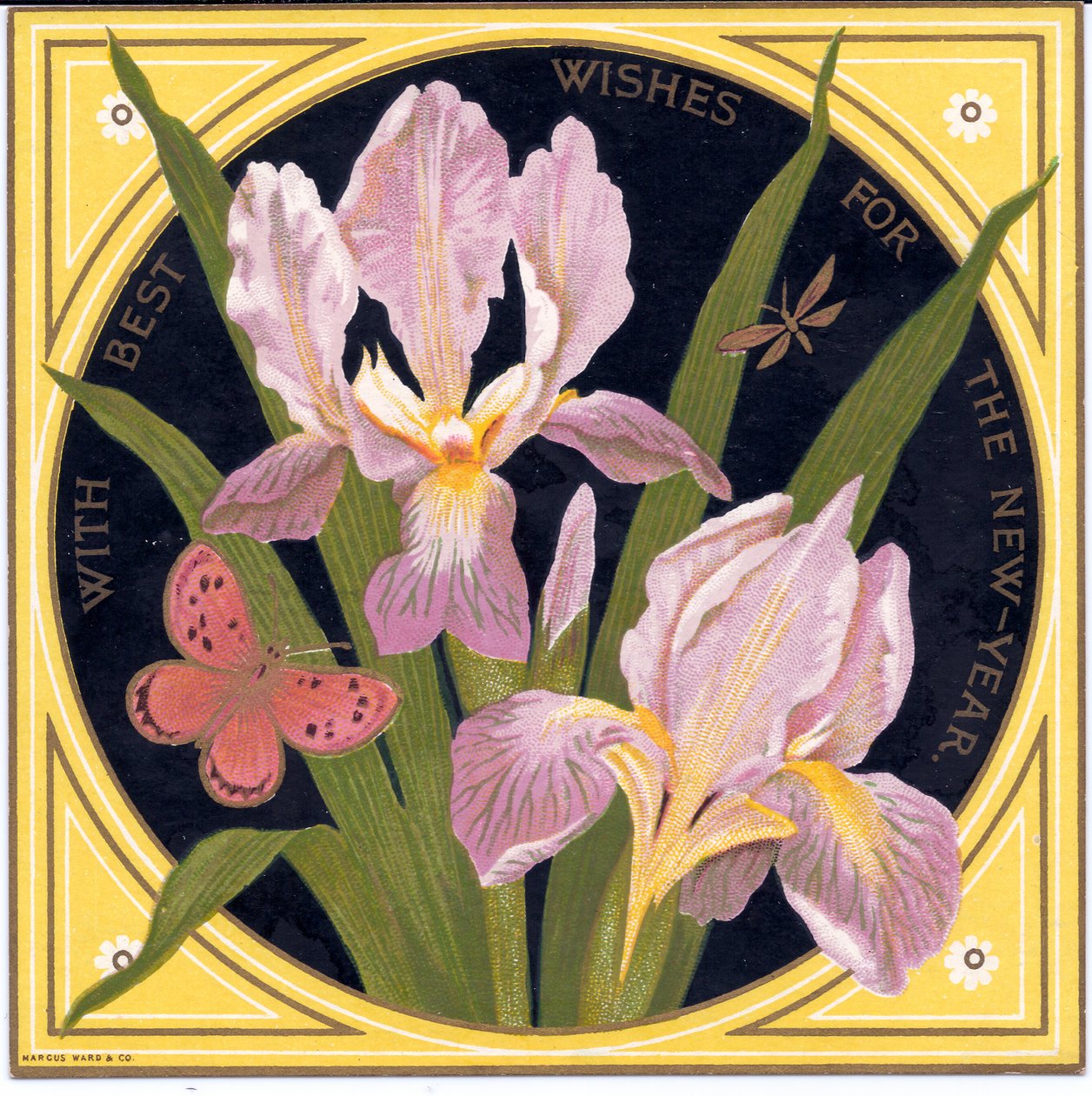 Una tarjeta de Año Nuevo victoriana con iris y mariposa, c.1880 de English School