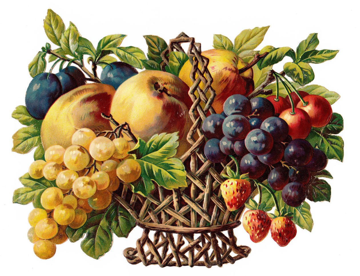 Relieve victoriano de una cesta de fruta, c.1880 (litografía en color) de English School