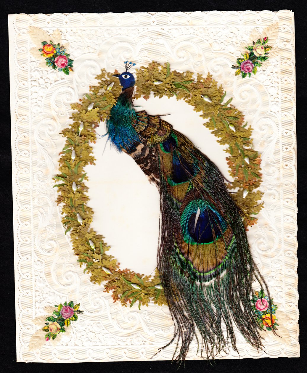 Tarjeta de San Valentín victoriana de encaje de papel de un pavo real con plumas auténticas de pavo real, c.1870 (litografía en color) de English School