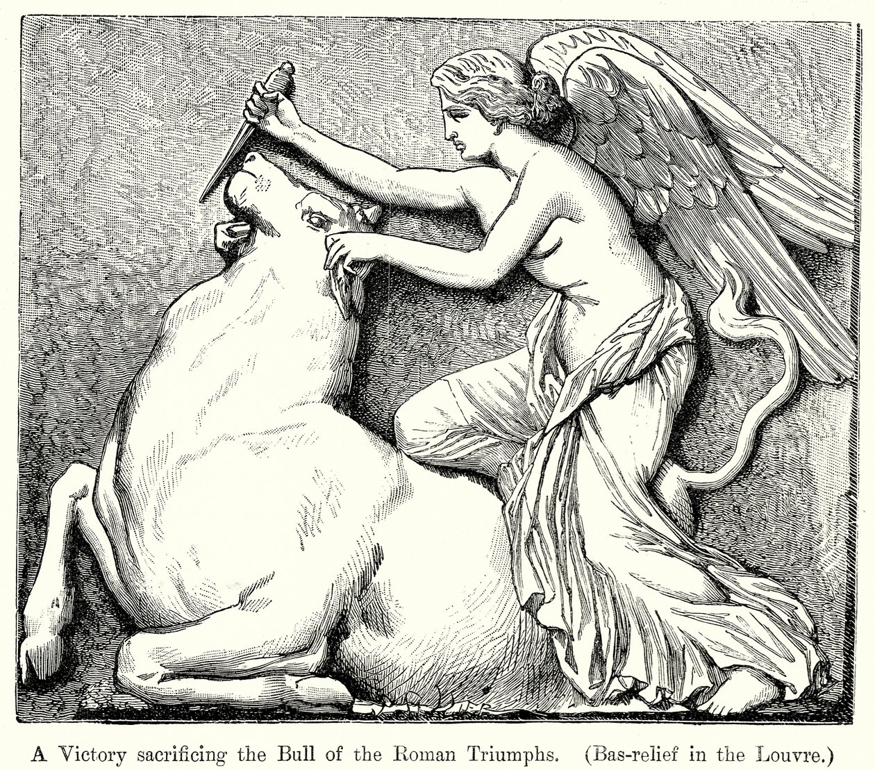 Una Victoria sacrificando el Toro de los Triunfos Romanos. (Bajo relieve del Louvre) (grabado) de English School