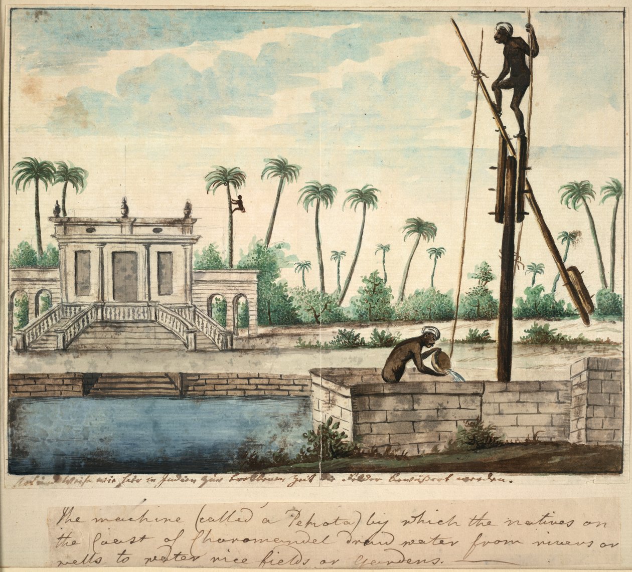 Un jardín colonial que muestra riego, c.1787 (acuarela sobre papel) de English School
