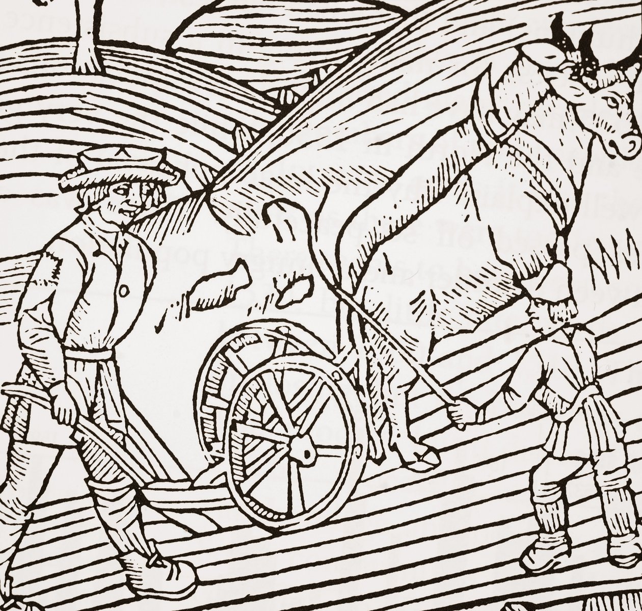 Un par de bueyes enganchados a un arado, portada del libro de agricultura de John Fitzherbert, primera publicación en 1523 de English School