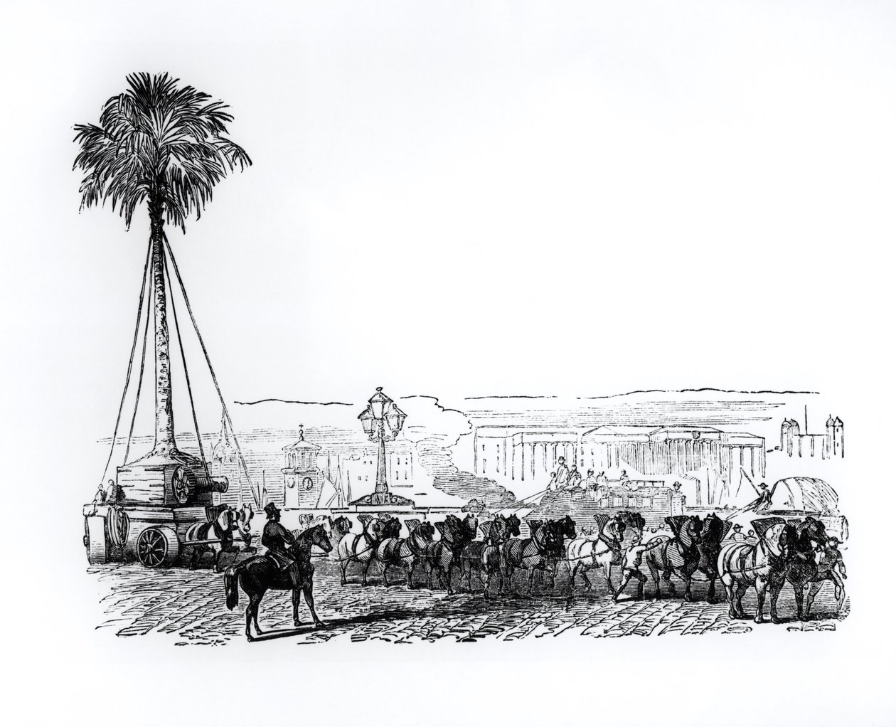 Una palmera siendo transportada a Hyde Park para la Gran Exposición, Londres, 1851 de English School
